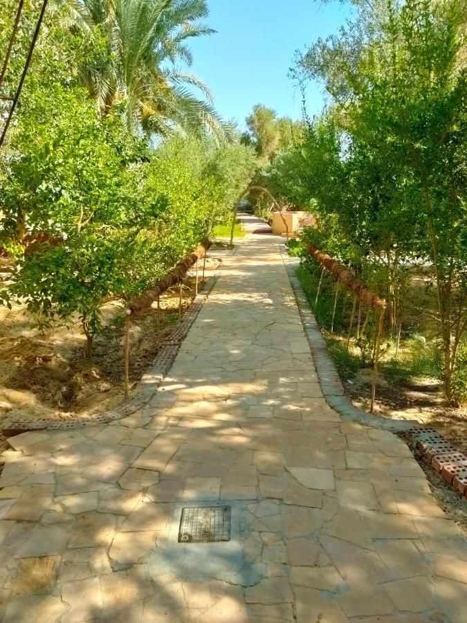 Dream Lodge Siwa Siwa Oasis Extérieur photo